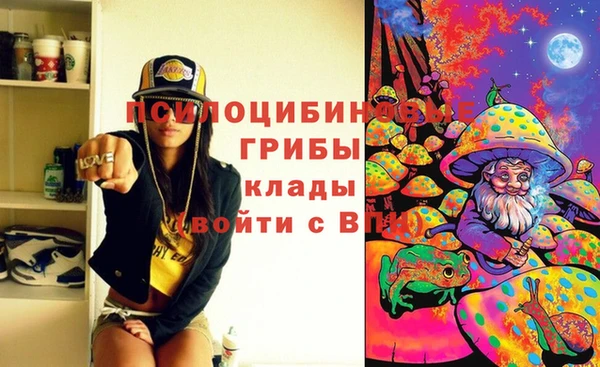 ПСИЛОЦИБИНОВЫЕ ГРИБЫ Арсеньев