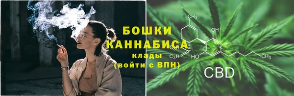 Альфа ПВП Аркадак