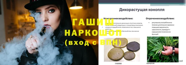 Альфа ПВП Аркадак