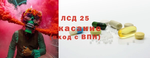 ПСИЛОЦИБИНОВЫЕ ГРИБЫ Арсеньев
