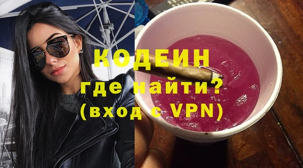 ПСИЛОЦИБИНОВЫЕ ГРИБЫ Арсеньев