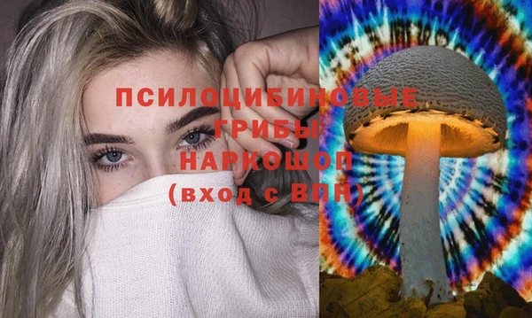 Альфа ПВП Аркадак