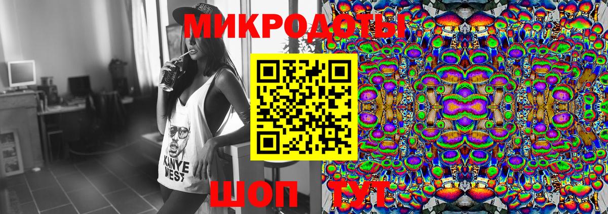 Псилоцибиновые грибы Psilocybe Белореченск